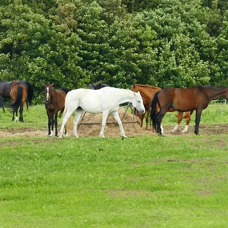 Blue Sea Im Village Lejlighed *