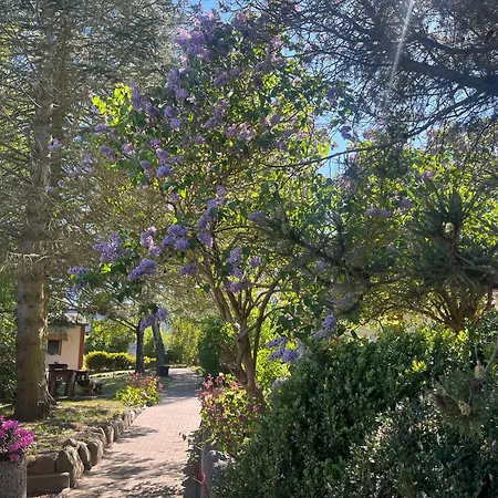 Blue Sea Im Village 아파트 *